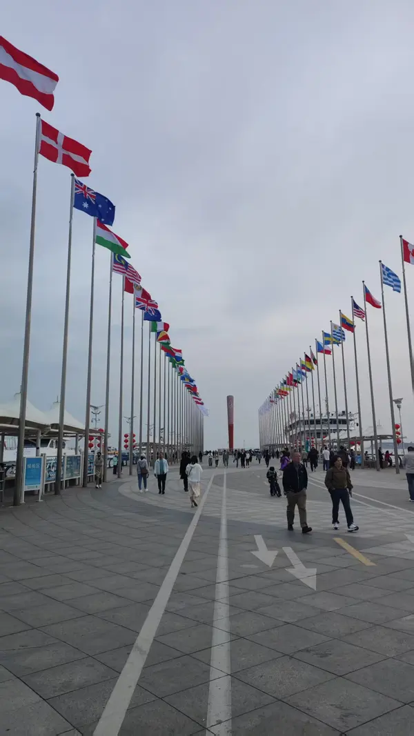 Flags in two rows along the pier